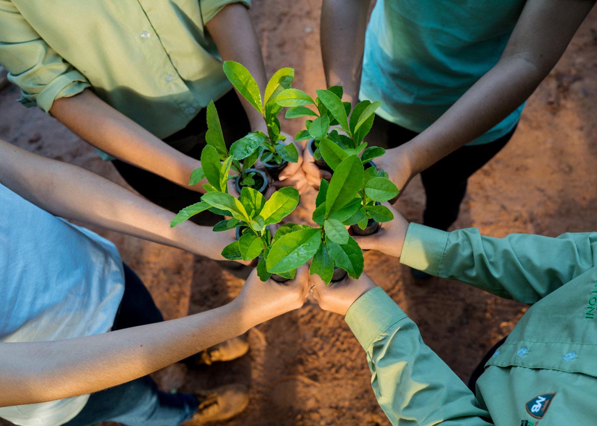 Our 2022 Impact Report