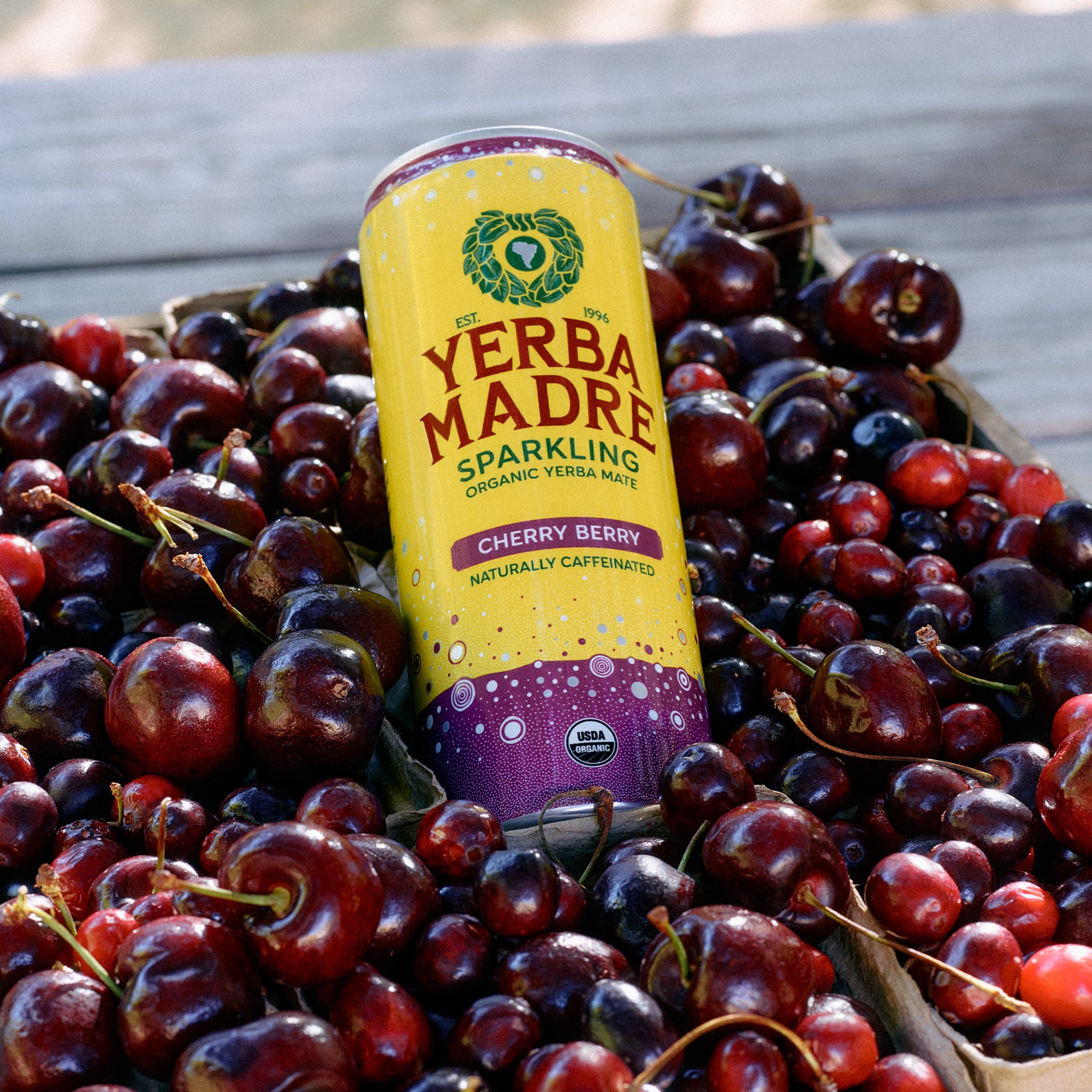 QYマステ12月新作Cherry berry PET Sparkling Cherry Berry – Yerba Madre