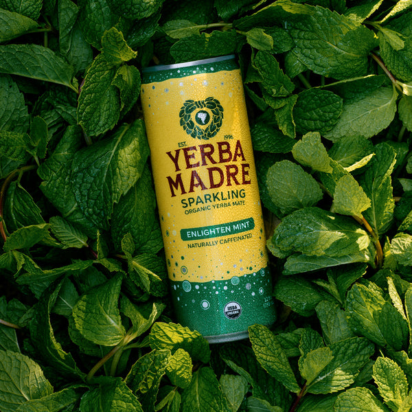 Sparkling Enlighten Mint