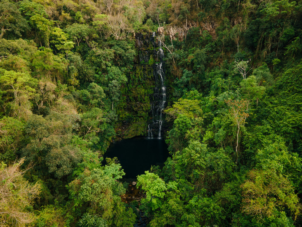 Aerial view of a small waterfall cascading down a lush cliff into a dark, circular pool surrounded by dense, vibrant green forest. The serene scene evokes the purity of nature, resembling the essence captured in Guayakí Yerba Mates organic products amid varied foliage covering the landscape.